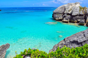 Bermuda Coast
